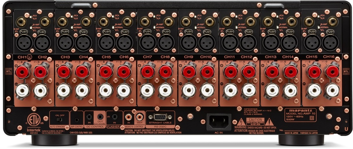 Backl AMP 10 image 05012023x