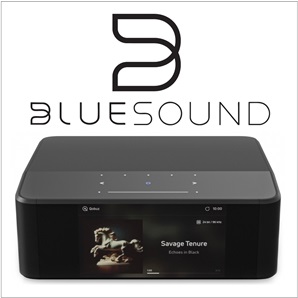 bluesoundlogo2022b