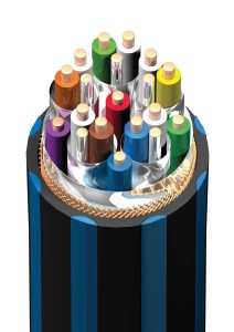 Audioquest BlueBerry HDMI (5/6)