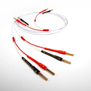 Chord Company Sarzen