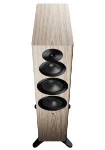 Dynaudio Focus 50 (6/28)