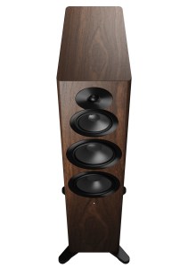 Dynaudio Focus 50 (17/28)