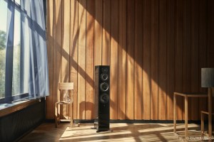 Dynaudio Focus 50 (27/28)