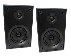 DUAL LS 100 Active Monitor