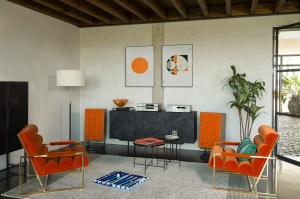 JBL CD350 - CD přehrávač s USB, stříbrný + dřevěné bočnice (15/16)