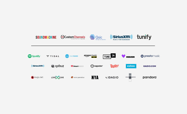 Bluesound Professional BCS300