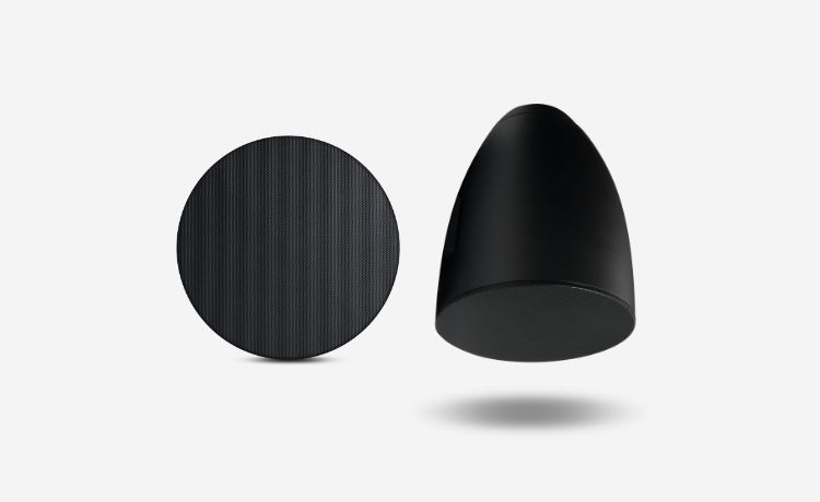 Bluesound Professional BCS300